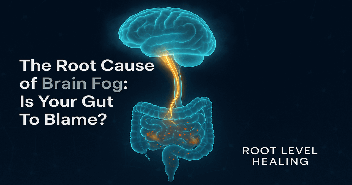 An illustration showing a connection between the human gut and brain.