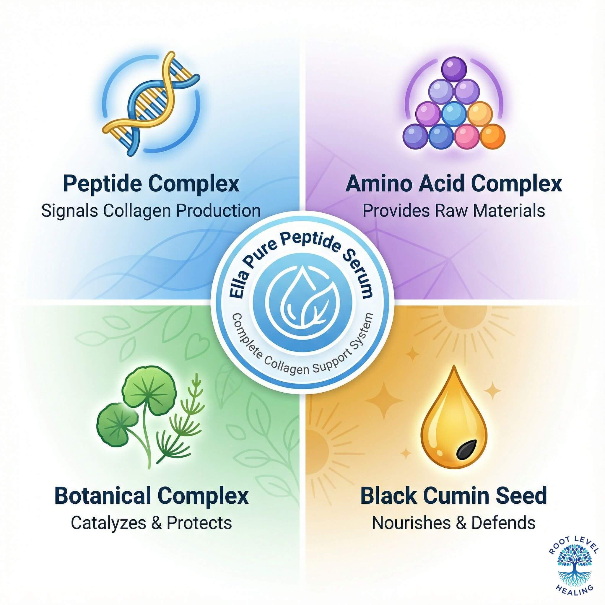An infographic showcasing the key ingredient categories in the Ella Pure Peptide Serum: Peptides, Amino Acids, Botanical Extracts, and Hyaluronic Acid.