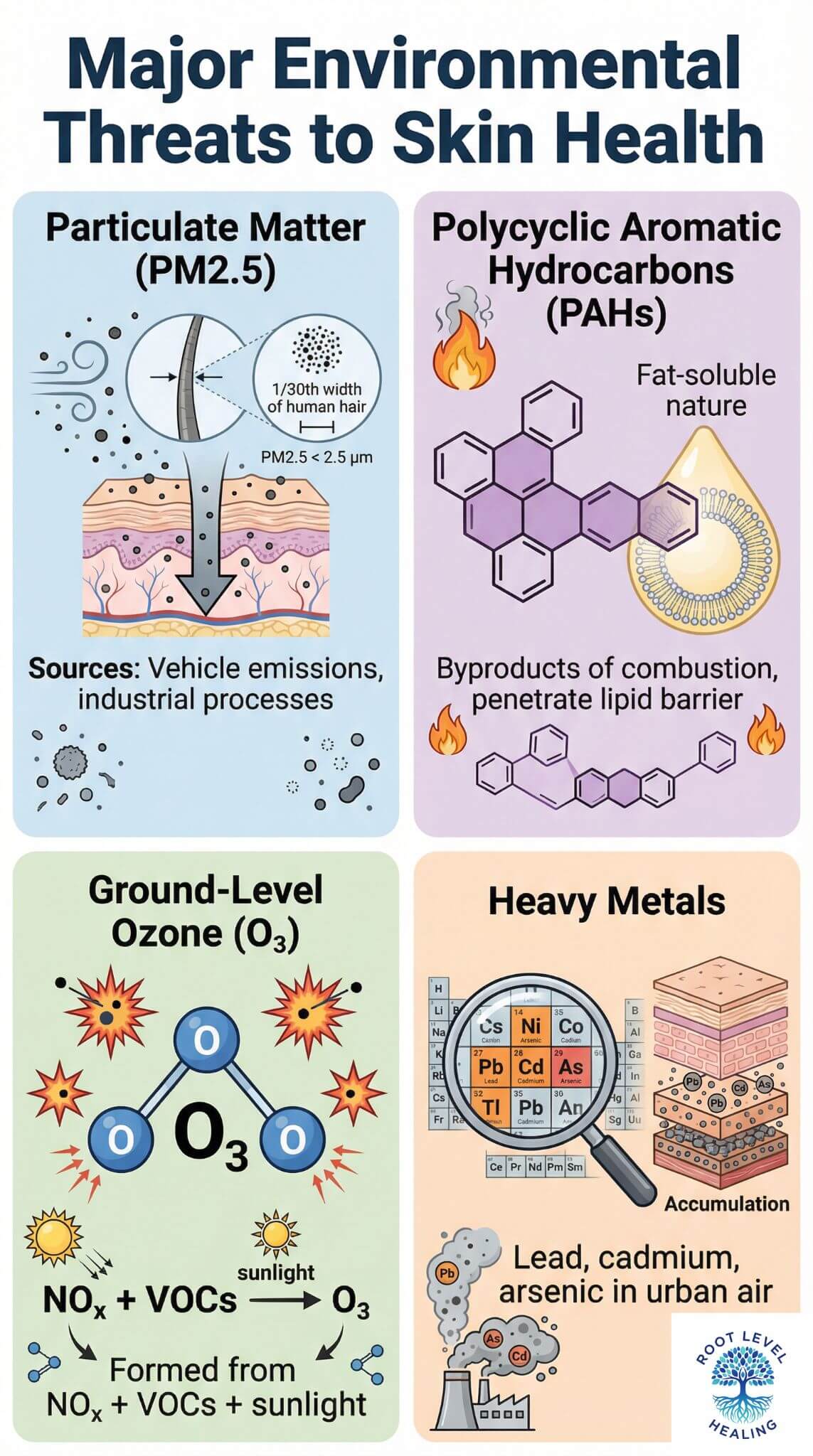 Four-quadrant infographic showing the major environmental threats to skin health: PM2.5 particulate matter, polycyclic aromatic hydrocarbons (PAHs), ground-level ozone, and heavy metals, with visual representations and sources.