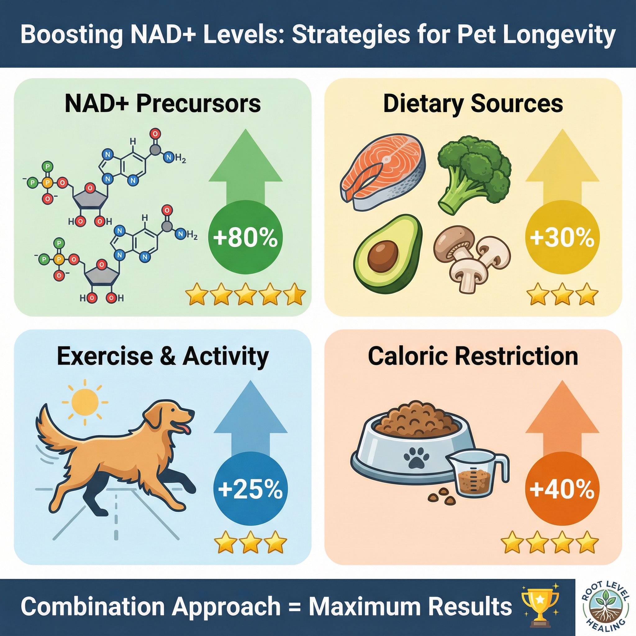 Infographic comparing four NAD+ boosting strategies for pets: NAD+ precursors (NMN/NR), dietary sources, exercise, and caloric restriction, showing precursors as the most effective.