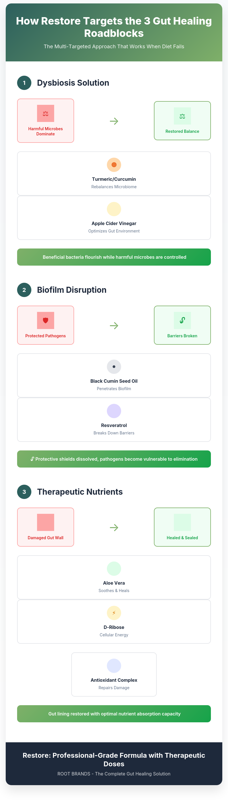 Infographic showing how Restore targets dysbiosis, breaks down biofilm, and provides therapeutic nutrients for complete gut restoration.