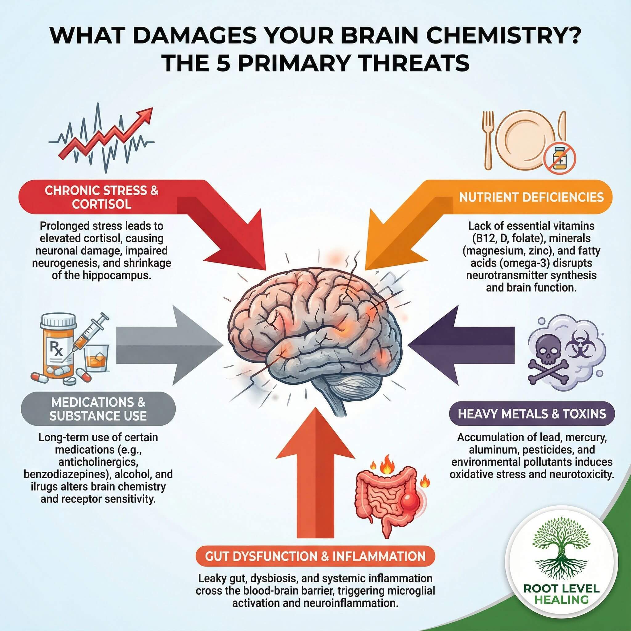 What Damages Brain Chemistry - Chronic Stress, Poor Diet, Environmental Toxins, Medications, Sleep Deprivation